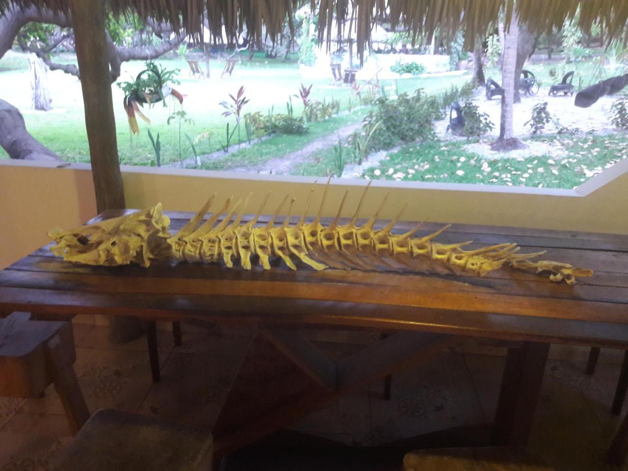 Hotel Ciamat Camp Santo Amaro do Maranhao Esterno foto